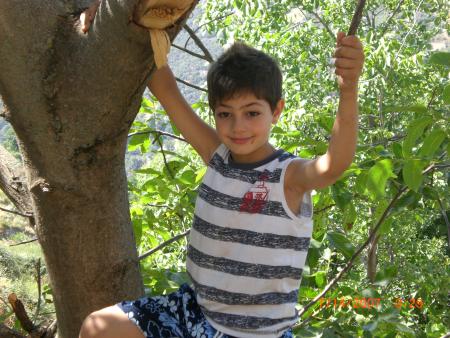                                  RAYAN